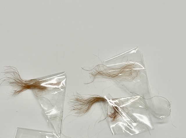 hair sample from long haired puppy
